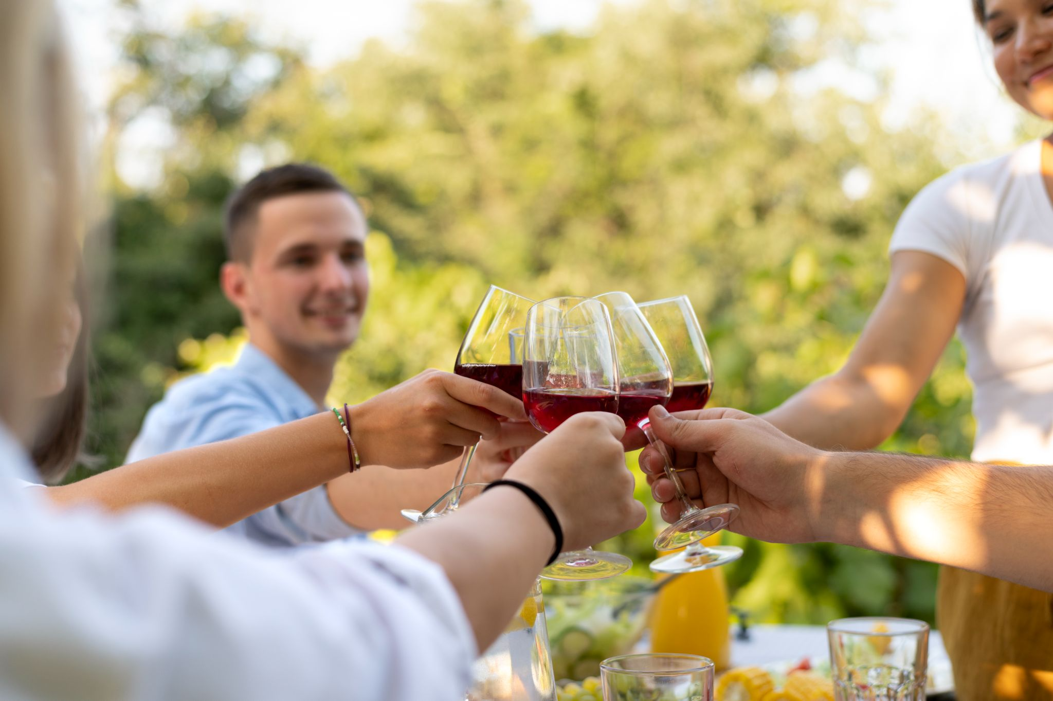 puglia best wines